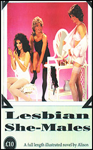 English novelette cover